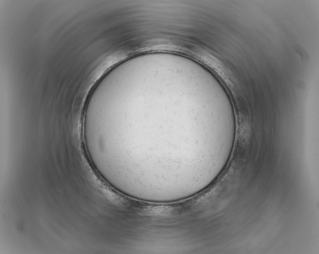 X0000111671282200907311151