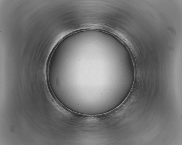 X0000111671283200907311151