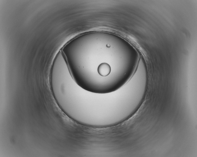 X0000111671284200907311151