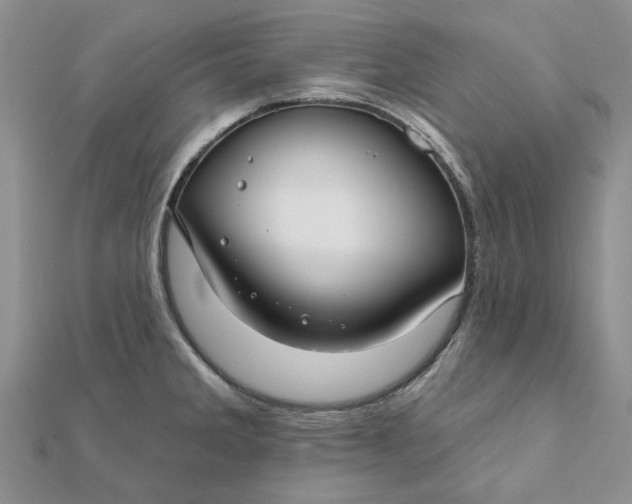 X0000111671285200907311151