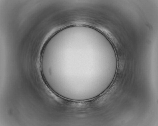 X0000111671286200907311151