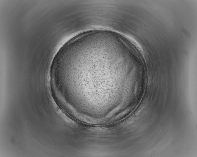 X0000111671287200907311151