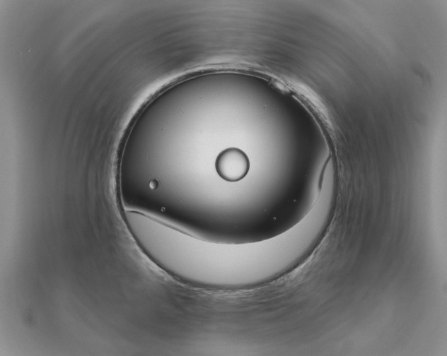 X0000111671288200907311151