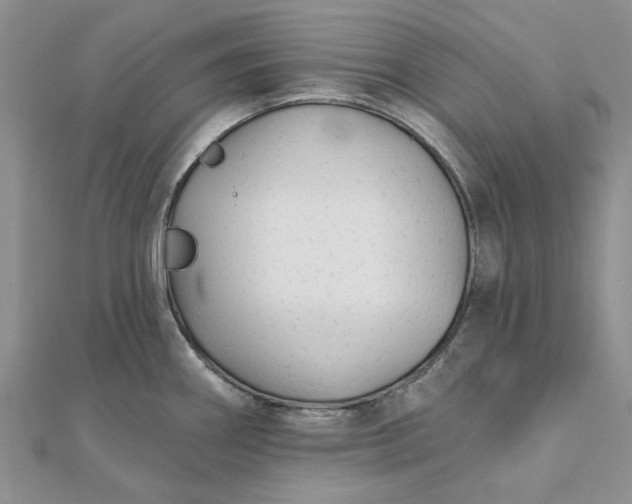 X0000111671290200907311151