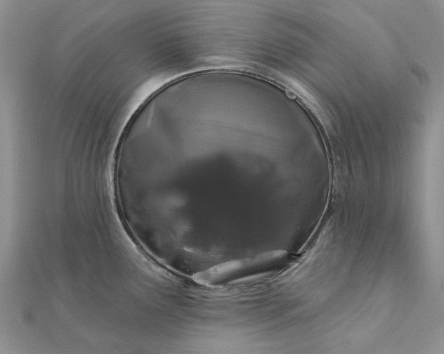 X0000111671291200907311151