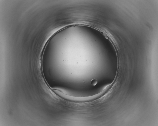 X0000111671292200907311151