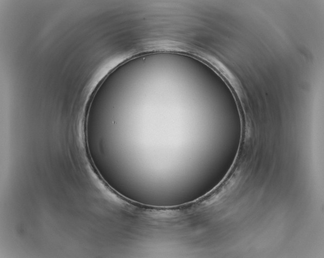 X0000111671293200907311151