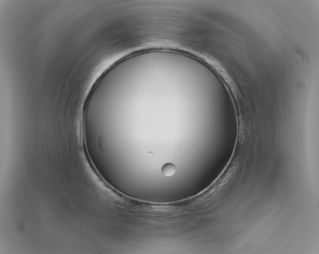 X0000111671295200907311151