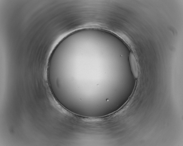 X0000111671296200907311151