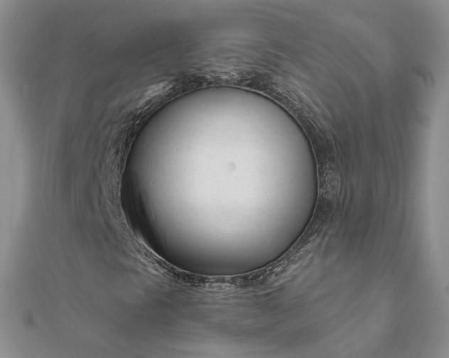 X0000111671297200907311150