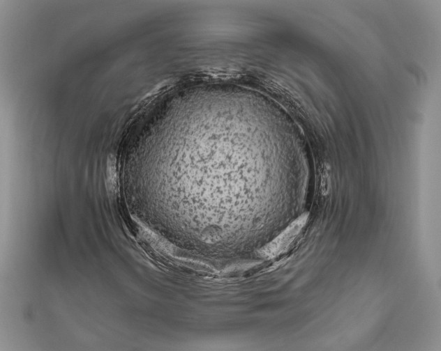 X0000111671298200907311150