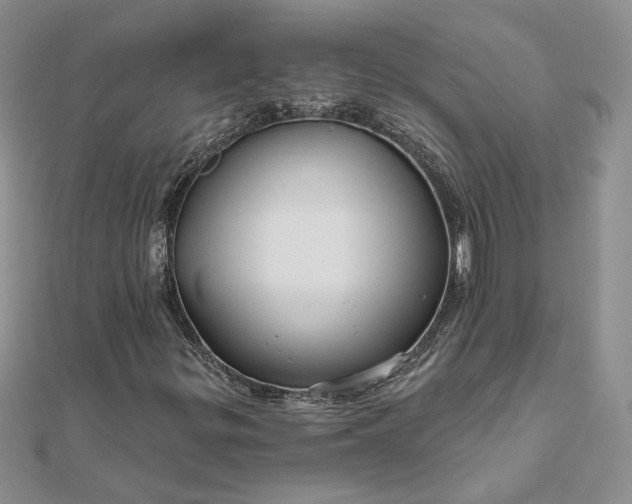 X0000111671299200907311150