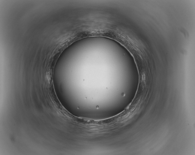 X0000111671300200907311150