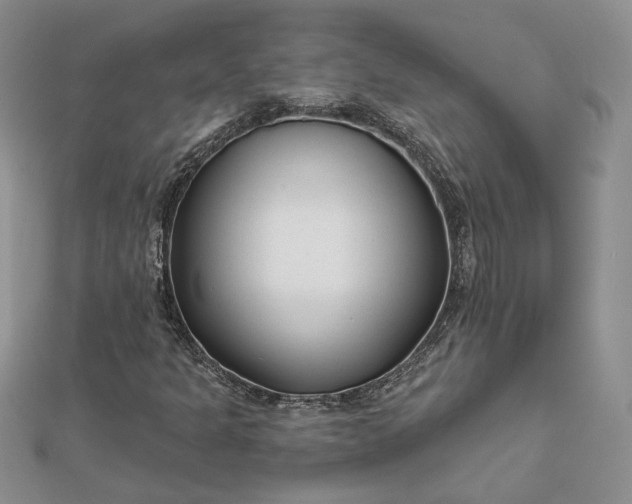 X0000111671301200907311150