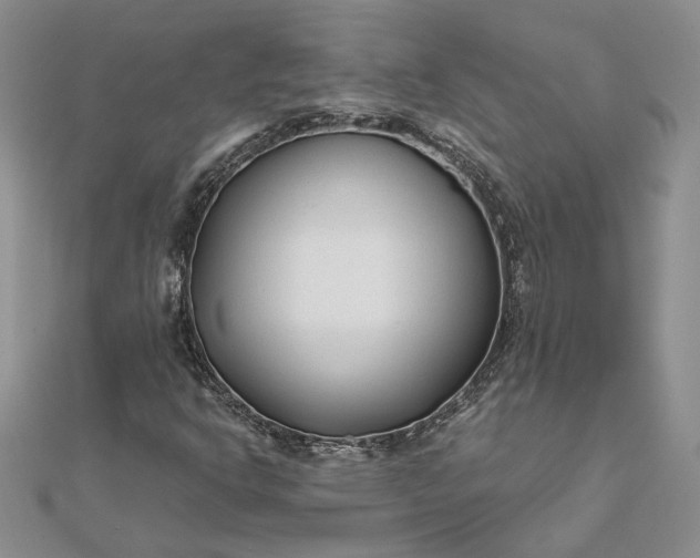 X0000111671302200907311150