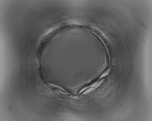 X0000111671303200907311150