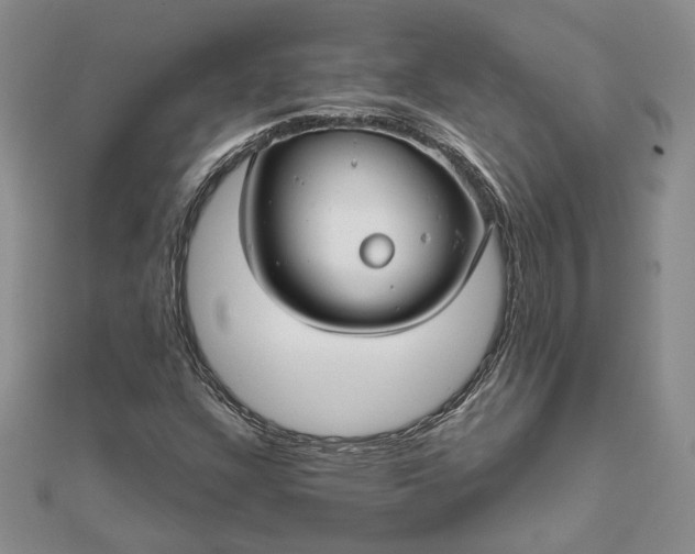 X0000111671304200907311150