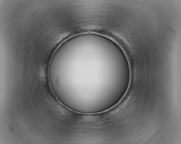 X0000111671305200907311150