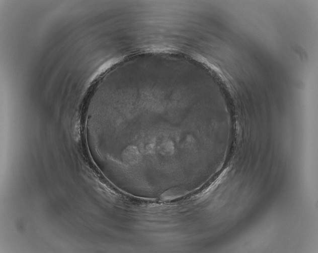 X0000111671306200907311150