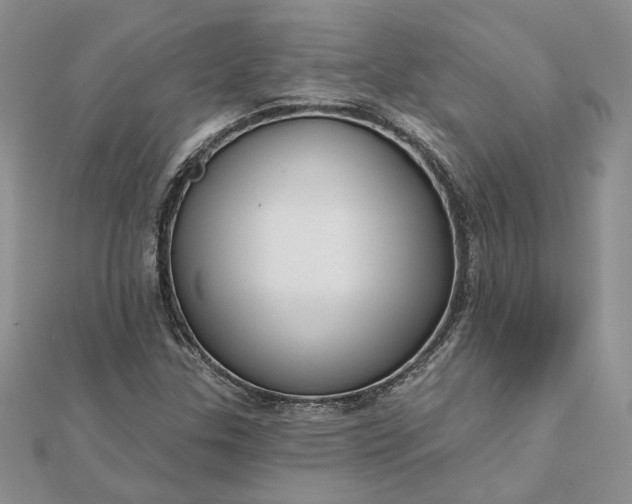 X0000111671307200907311150