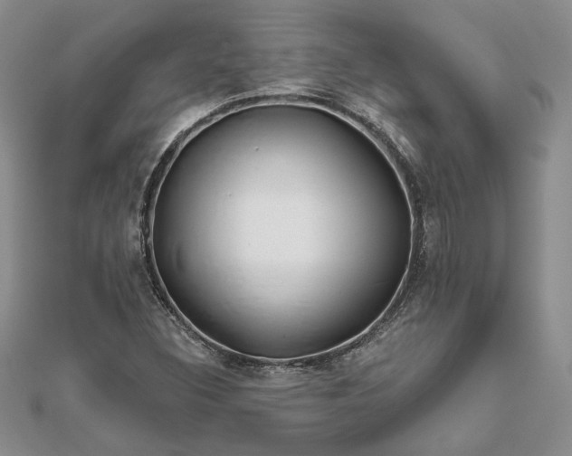 X0000111671308200907311150