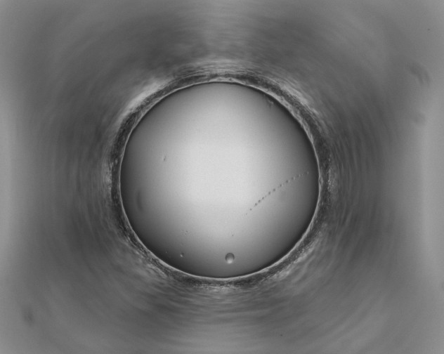 X0000111671309200907311150