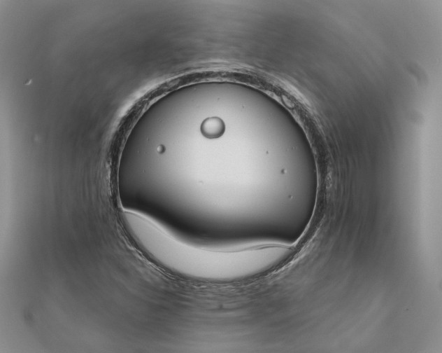 X0000111671310200907311150