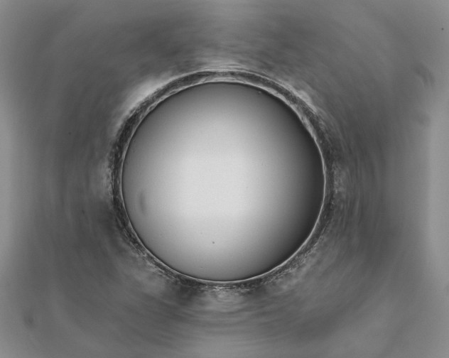 X0000111671311200907311150