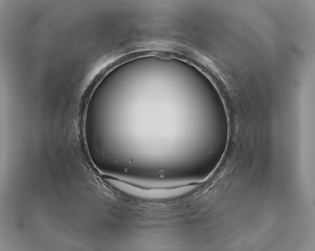 X0000111671312200907311150