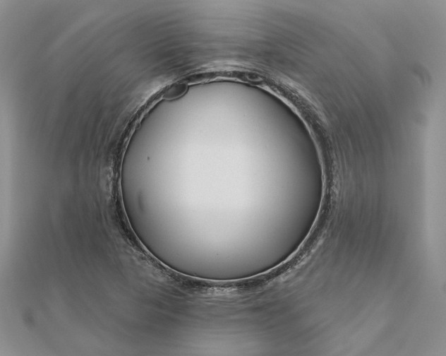 X0000111671313200907311150