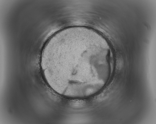 X0000111671314200907311150