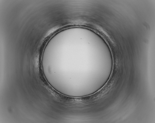 X0000111671315200907311150