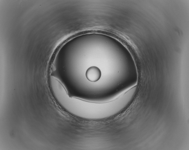 X0000111671316200907311150