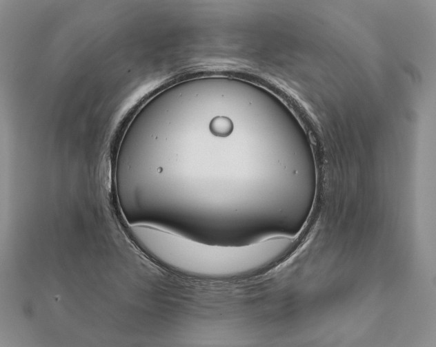 X0000111671317200907311150