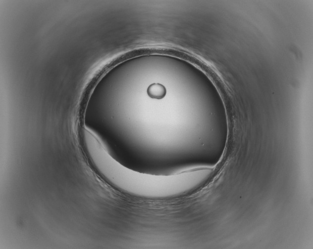 X0000111671319200907311150