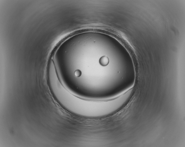 X0000111671320200907311150