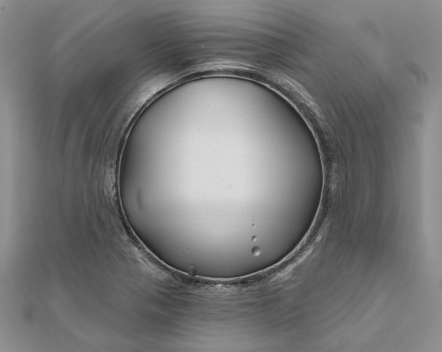 X0000111671321200907311150