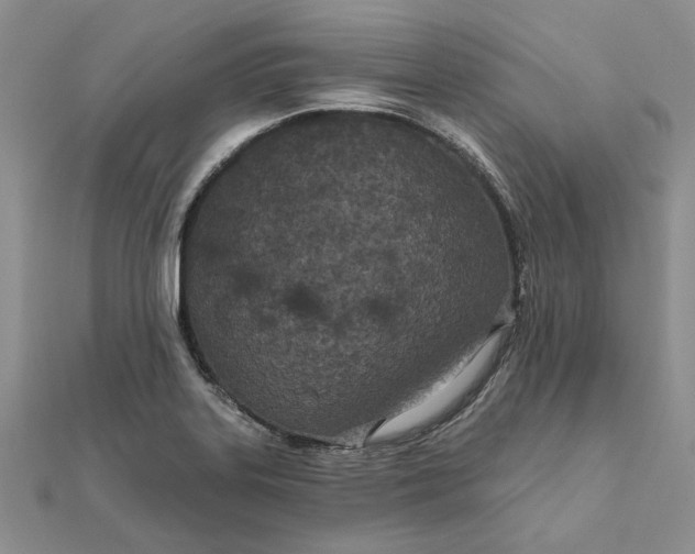 X0000111671323200907311150