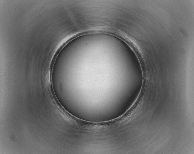 X0000111671324200907311150