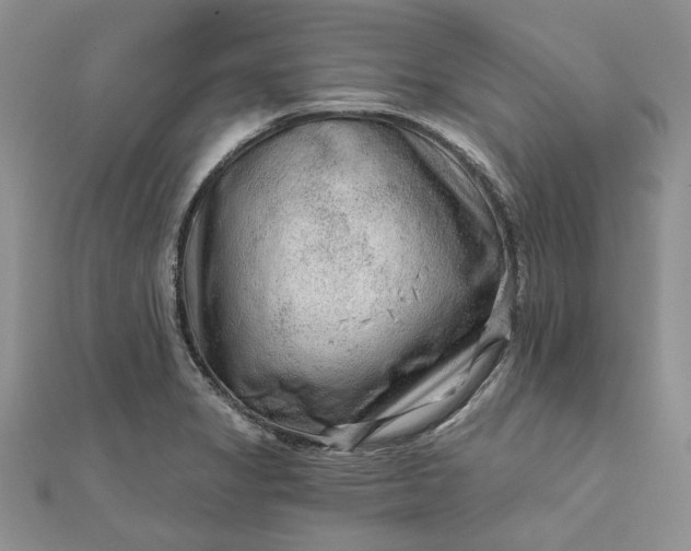 X0000111671325200907311150