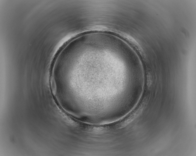 X0000111671326200907311150