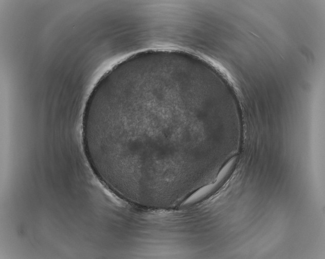 X0000111671327200907311150