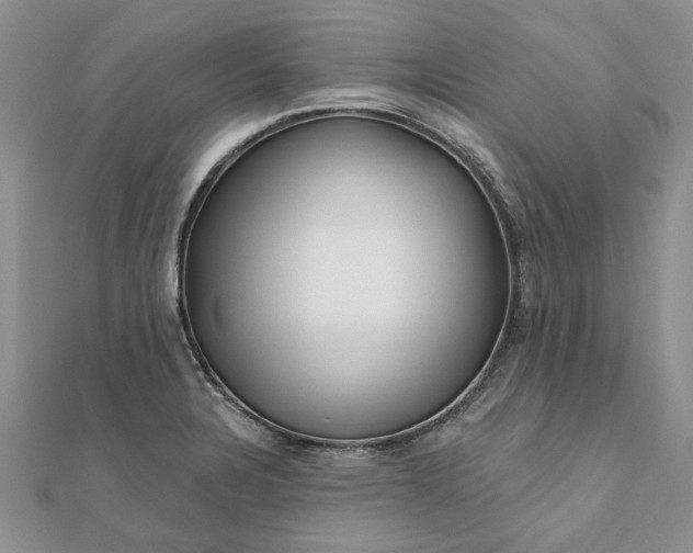 X0000111671328200907311150