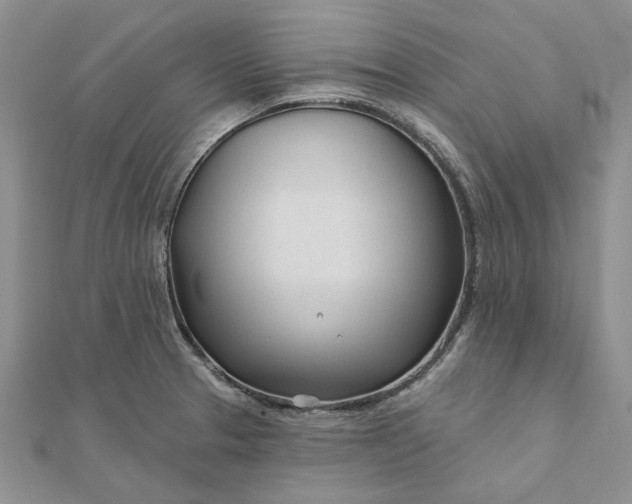 X0000111671329200907311150