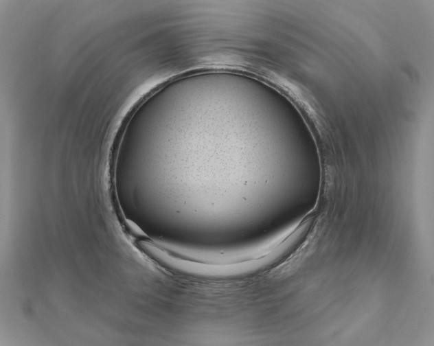 X0000111671331200907311150