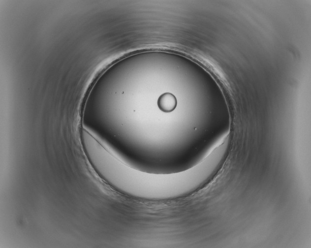 X0000111671332200907311150