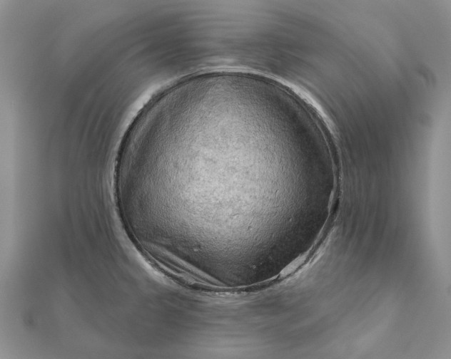 X0000111671333200907311150