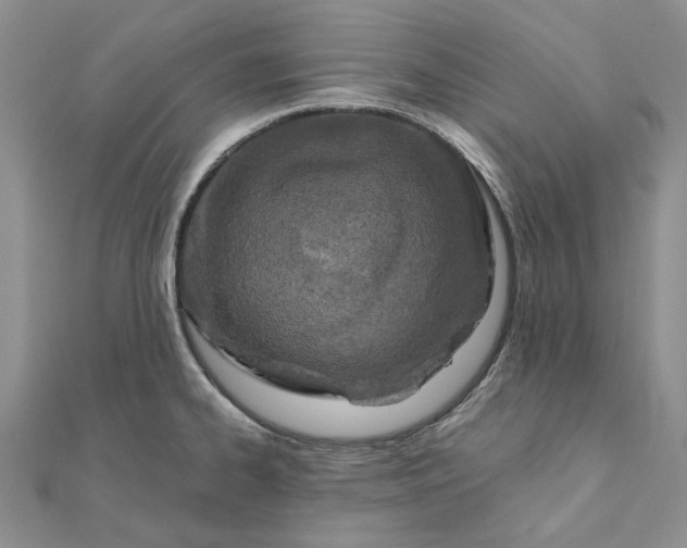 X0000111671334200907311150