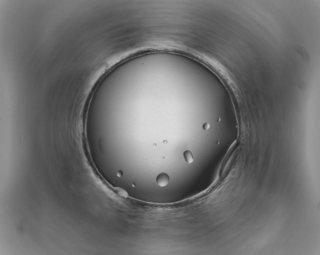 X0000111671335200907311150