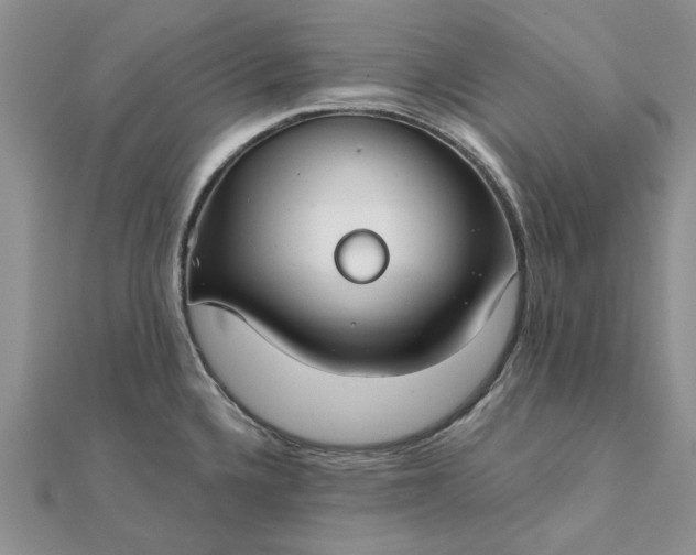 X0000111671336200907311151